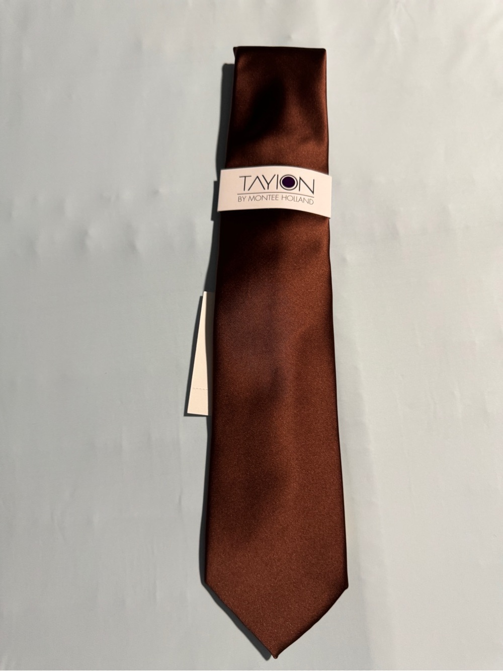 Tayion Montee Holland Brown Satin Tie NWT Solid Smooth